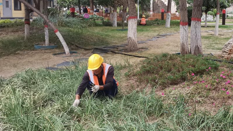 小区园林绿化设计：打造宜居生态空间的秘籍