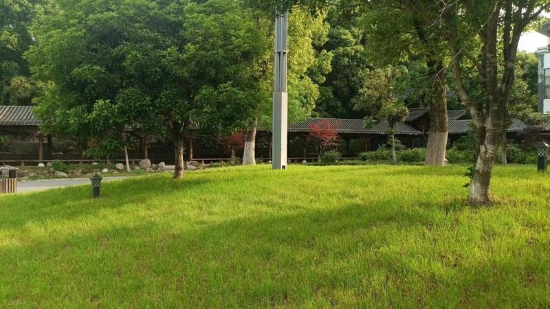 南方小区绿化草坪品种选择：因地制宜，打造生态宜居家园**