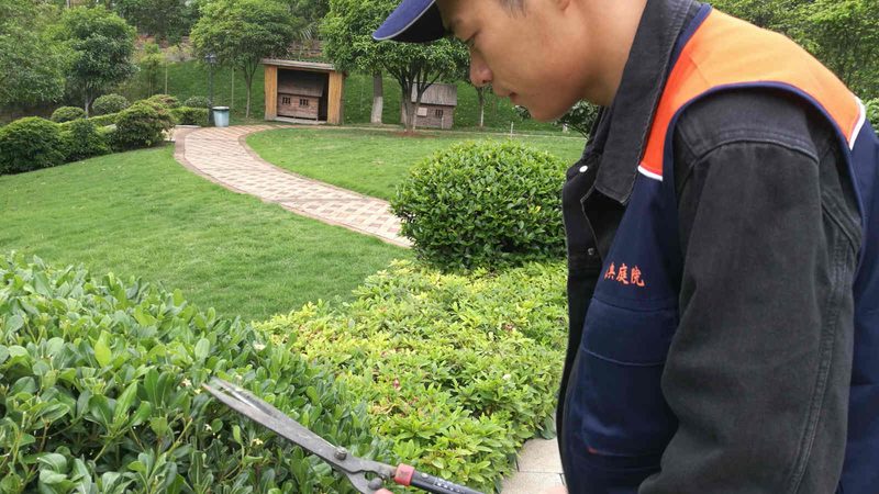 屋顶绿化工程公司推荐