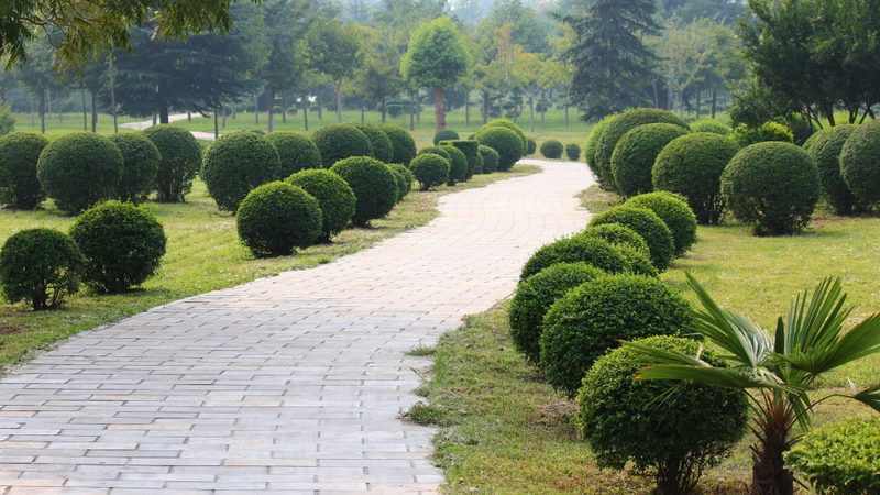 轻型屋顶绿化种植基质怎么选？关键在于这些因素