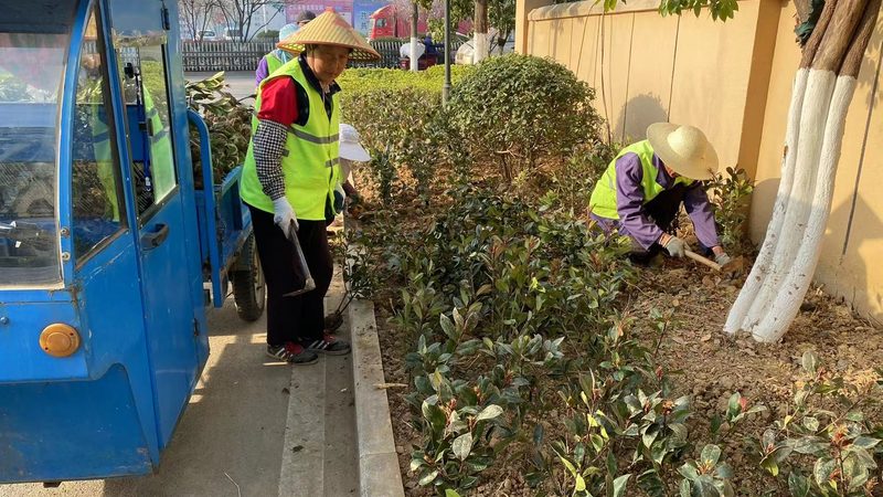 植物墙价格之谜：揭秘一平米成本构成
