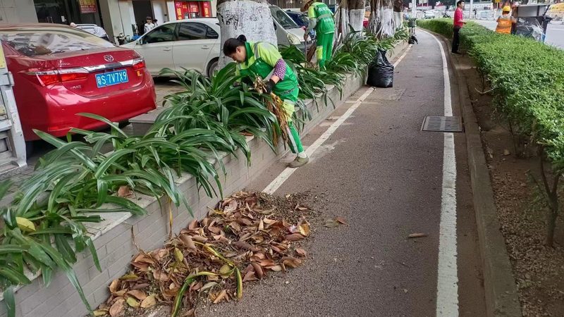 草坪铺设后养护报价揭秘：关键因素与合理预算